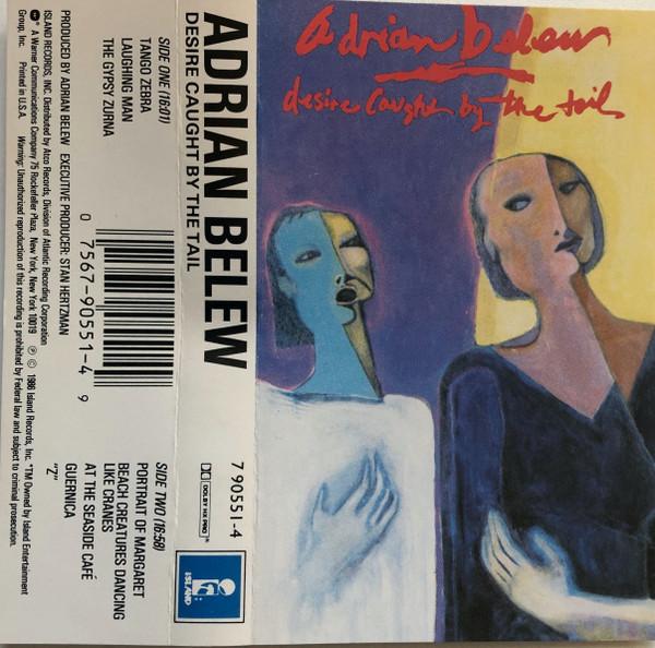 Adrian Belew - Desire Caught By The Tail