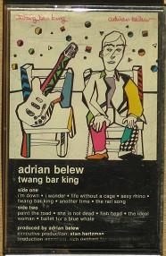Adrian Belew - Twang Bar King
