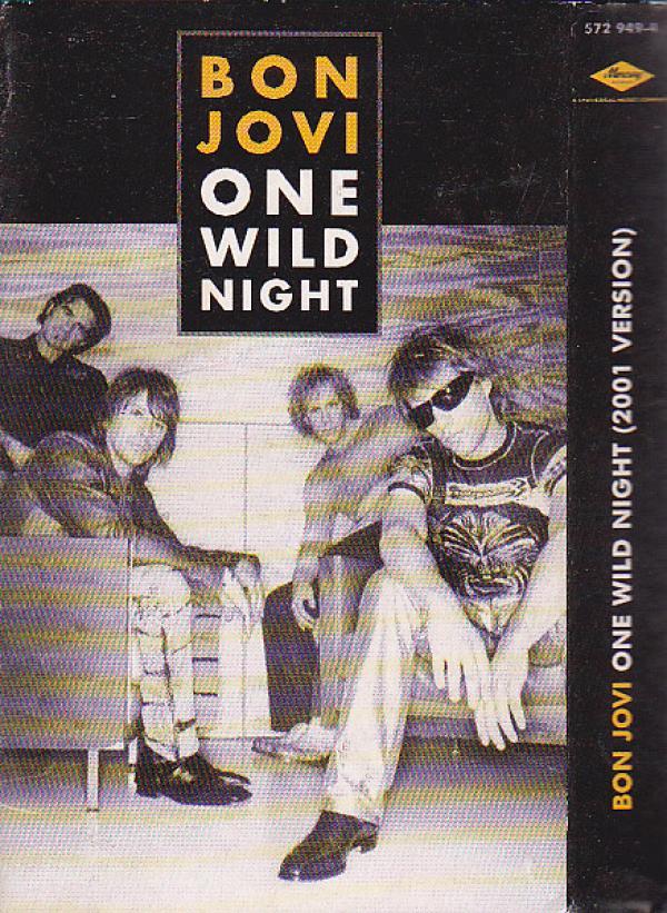 Bon Jovi - One Wild Night
