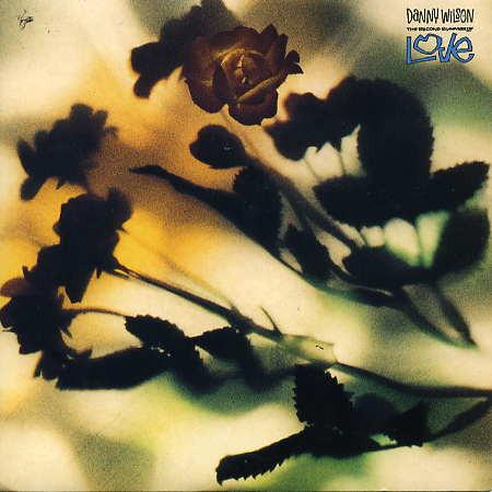 Danny Wilson  - The Second Summer Of Love