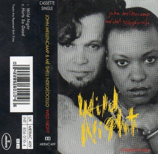 John Cougar Mellencamp, Me'Shell NdegéOcello - Wild Night