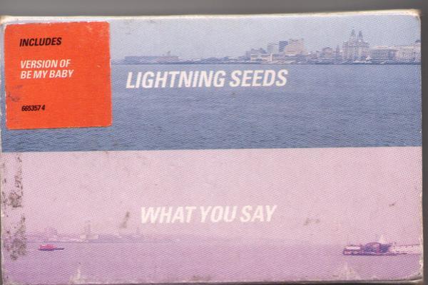 Lightning Seeds - What You Say