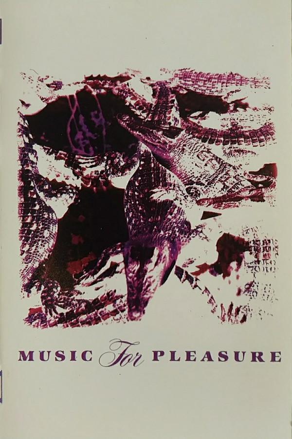 Music For Pleasure - Into The Rain