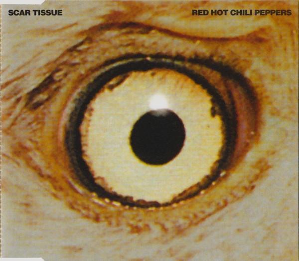 Red Hot Chili Peppers - Scar Tissue