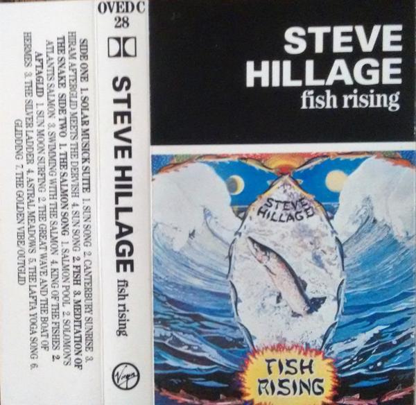 Steve Hillage - Fish Rising