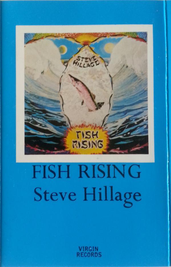 Steve Hillage - Fish Rising