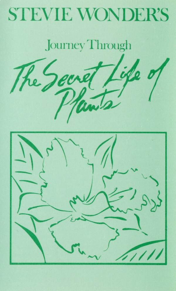 Stevie Wonder - Journey Through The Secret Life Of Plants