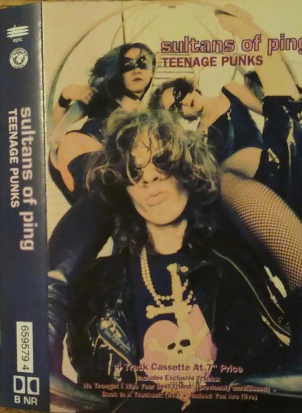 Sultans Of Ping F.C. - Teenage Punks