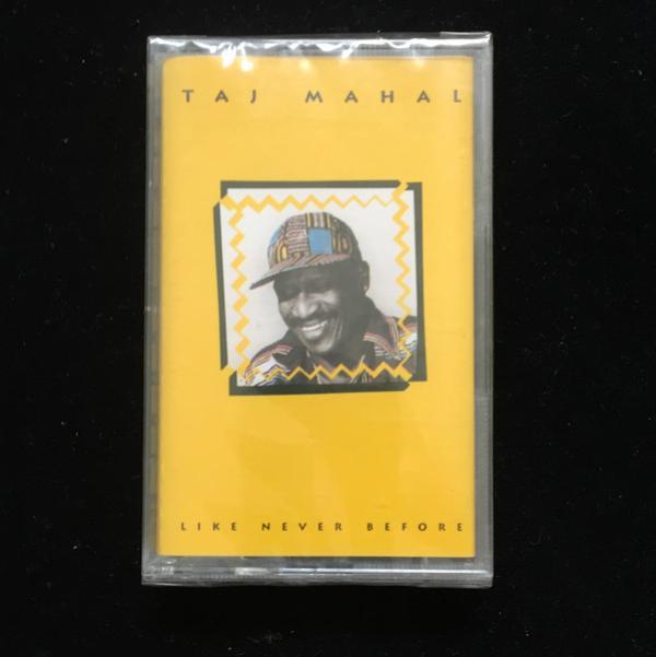 Taj Mahal - Like Never Before