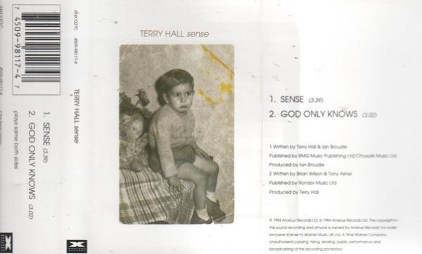 Terry Hall - Sense