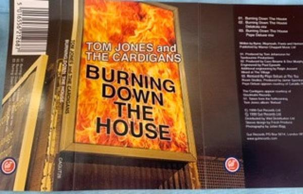 The Cardigans, Tom Jones - Burning Down The House